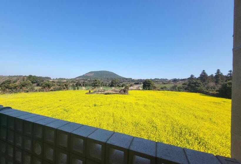 Jeju Management Pension