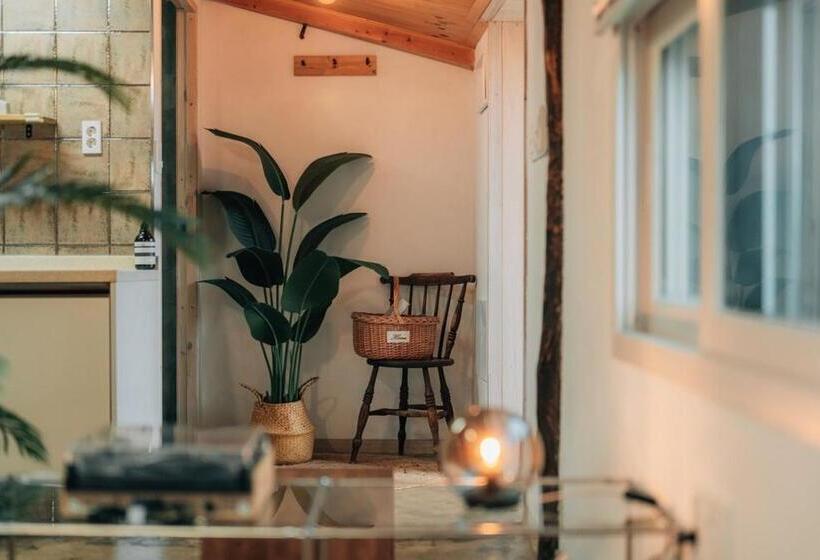 Jeju Pension Doldamnomo Jip Doldamjeom