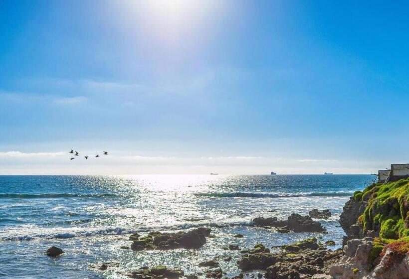 Jr Suite 2   Playa Arcangel