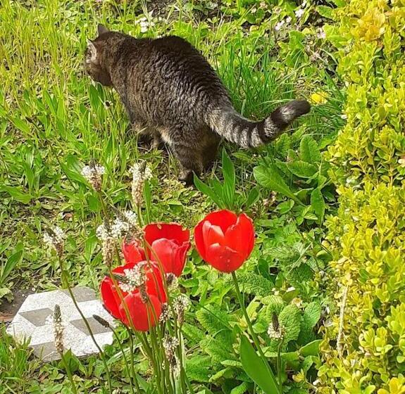 ペンション Chez Clo