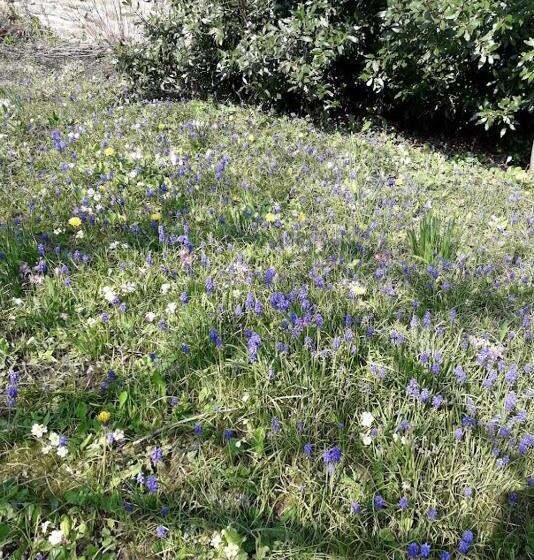 ペンション Chez Clo