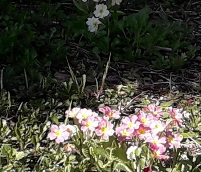 ペンション Chez Clo