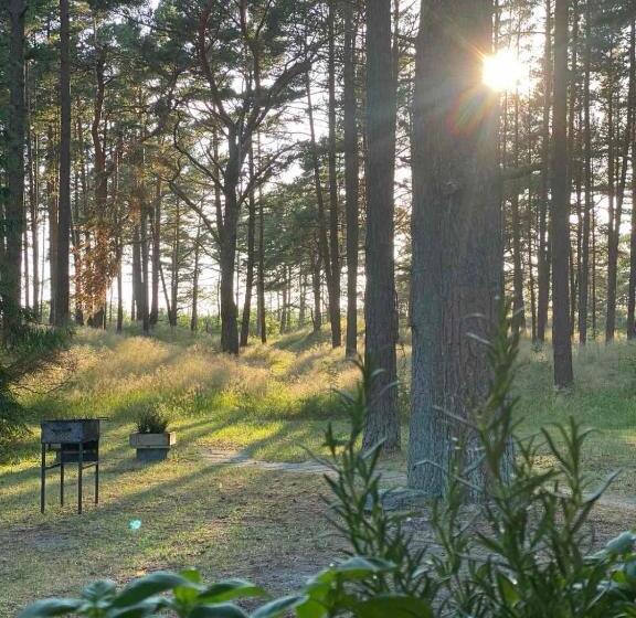 پانسیون Draugų Namai