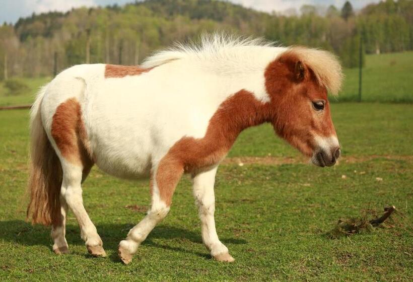 ペンション Faunapark Lipová Lázně