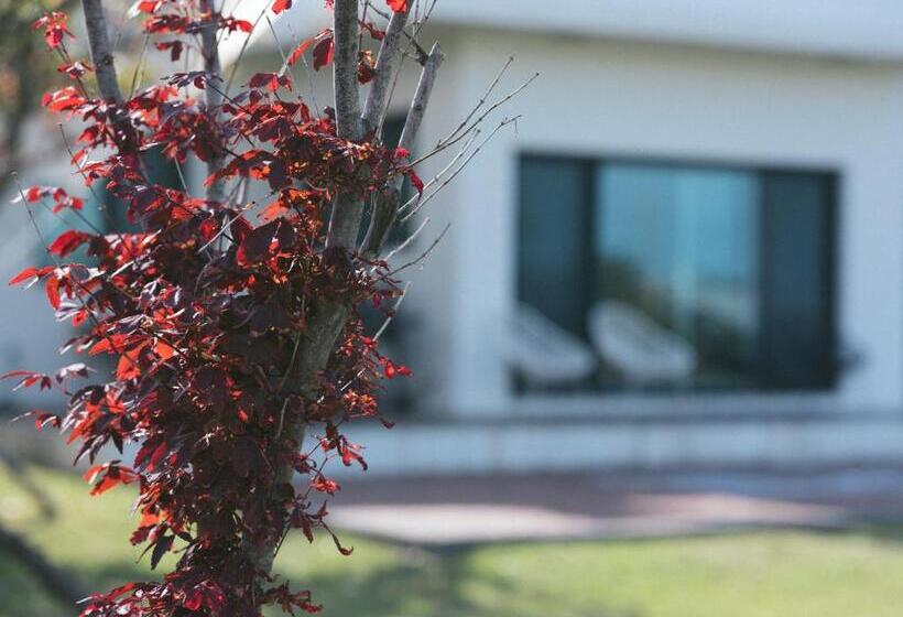 Pensió Jayouhaneun Private House