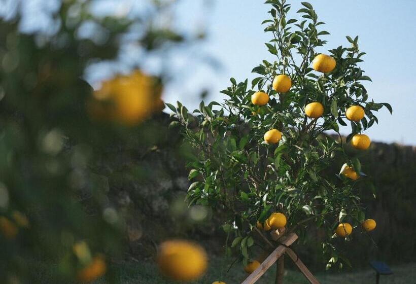 Pensió Jayouhaneun Private House