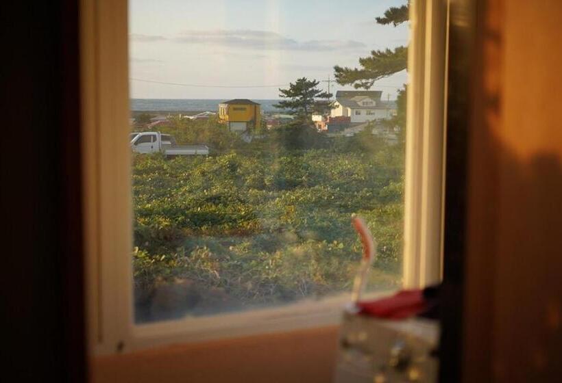 بنسيون Jeju Junny Binny House Bed And Breakfast