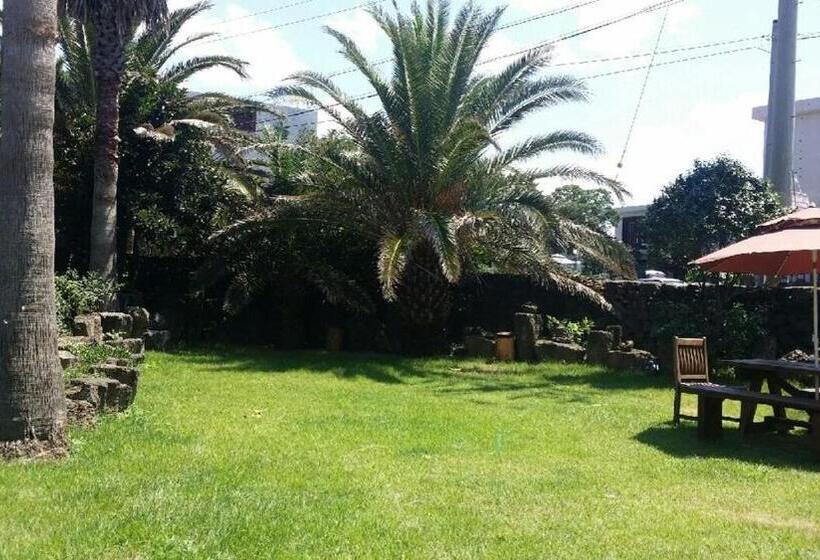 بنسيون Jeju Junny Binny House Bed And Breakfast