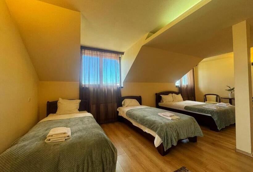 بنسيون La Cuib Cristian Sibiu