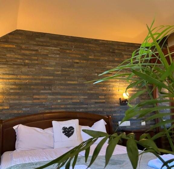 بنسيون La Cuib Cristian Sibiu