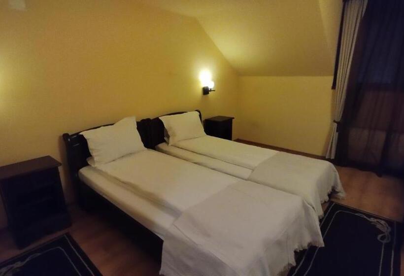 بنسيون La Cuib Cristian Sibiu