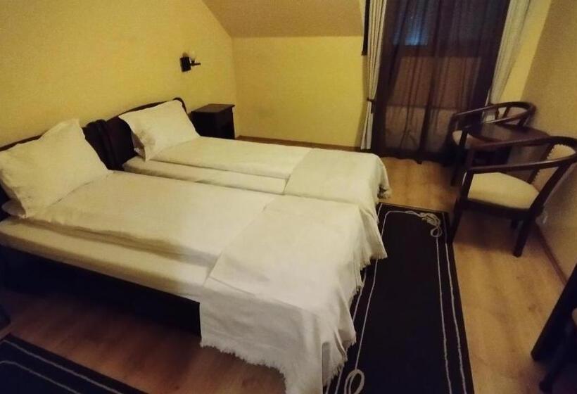 بنسيون La Cuib Cristian Sibiu