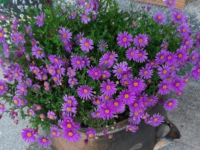 膳宿费 Naju Yoonsunjae Stay