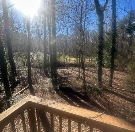 بنسيون Nature In The City