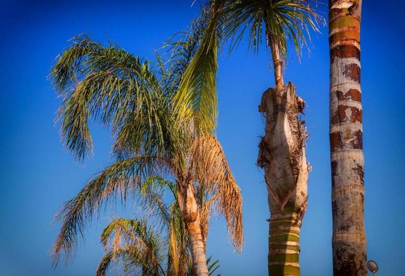 Пансион Palm Beach Resort