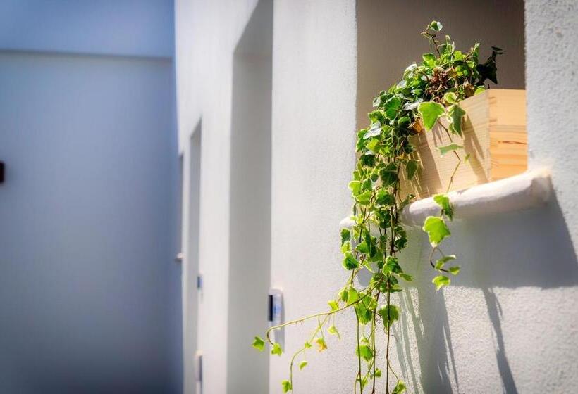 Пансион Palm Beach Resort