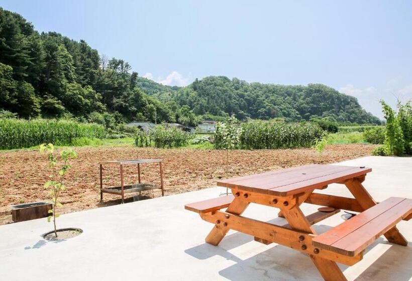 Pensão Poolip Family House