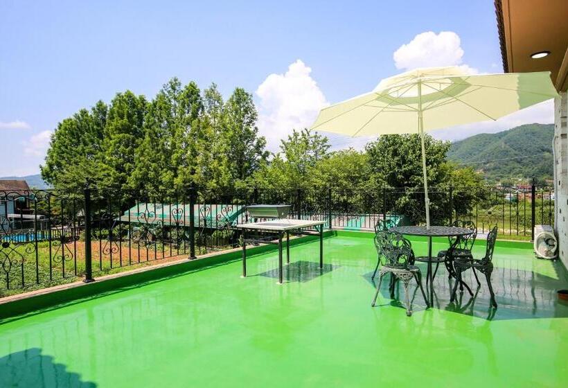 Pensão Poolip Family House