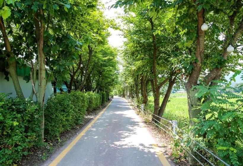 Pensão Poolip Family House