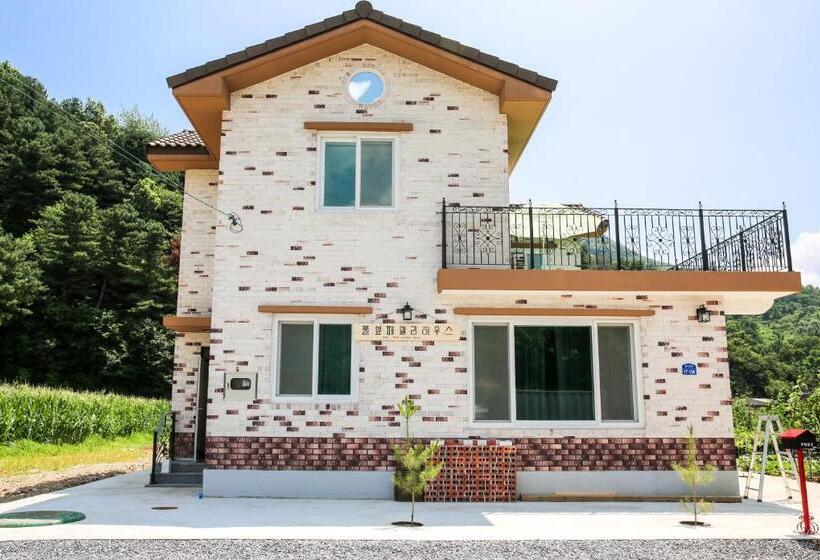 Pensão Poolip Family House