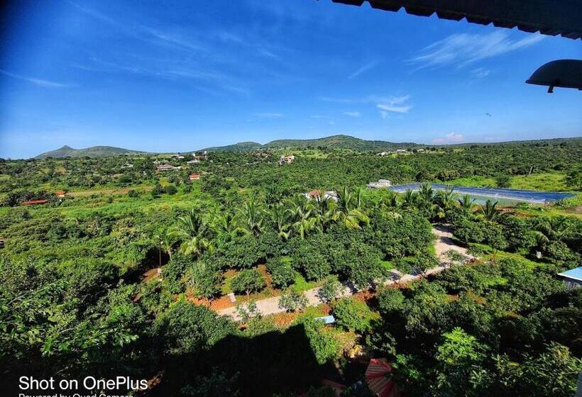 بنسيون The Four Winds House