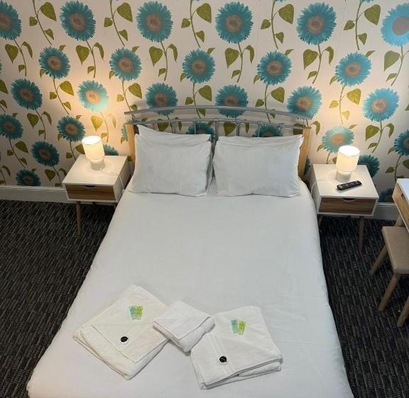 بنسيون The Paradise Guest House