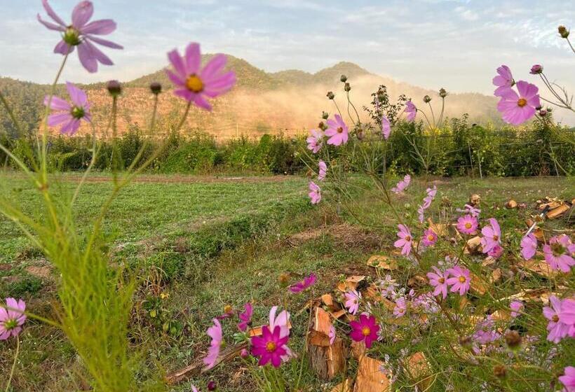 膳宿费 Yeongyang Youyoudang Dockchae Hanok