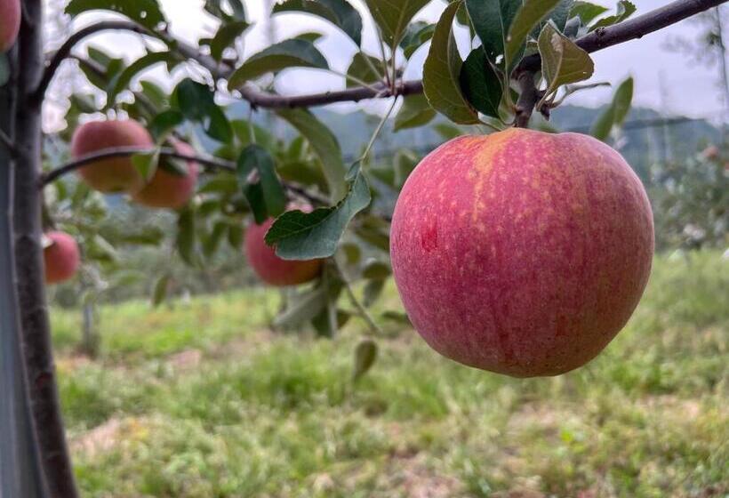 פנסיון Yeongyang Youyoudang Dockchae Hanok