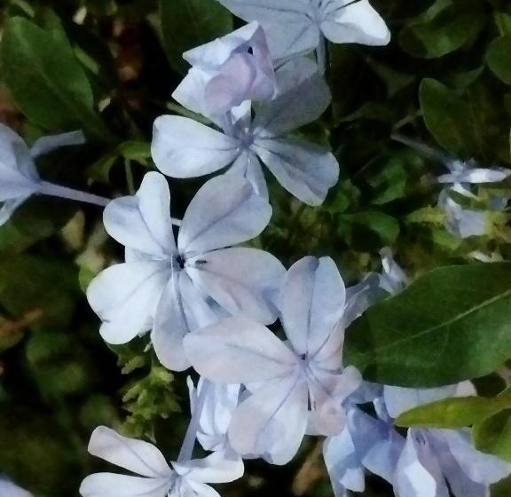 Quarto 0000 Está Indisponível Não Paguei Nada