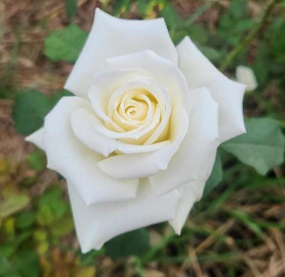 Quarto 0000 Está Indisponível Não Paguei Nada