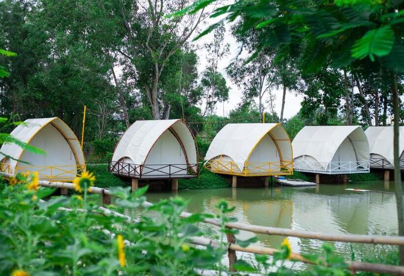 استراحتگاه The Grand Việt Kiều