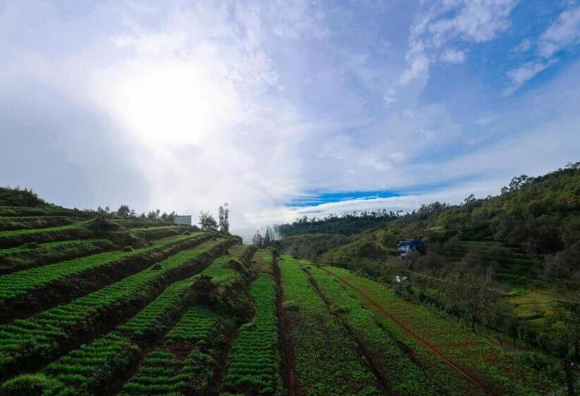 Starlight Hotels Kodai