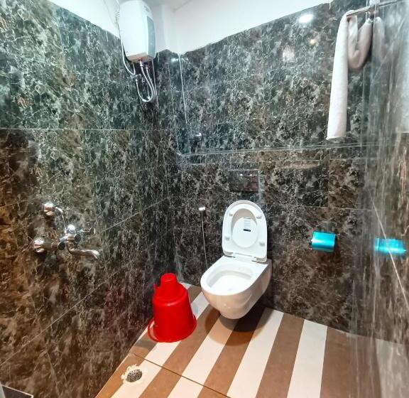 Super Oyo Hotel Danish Dreamstay