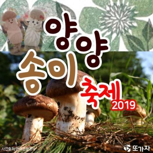 Yang Yang Naksan Euisangdae Pension