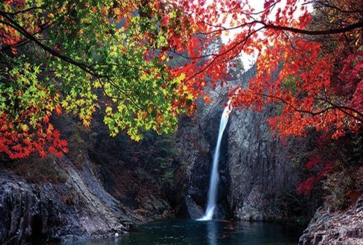 Yang Yang Naksan Euisangdae Pension