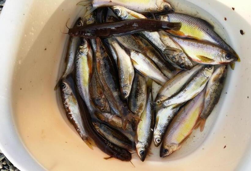 Yangyang Riverhill Pension