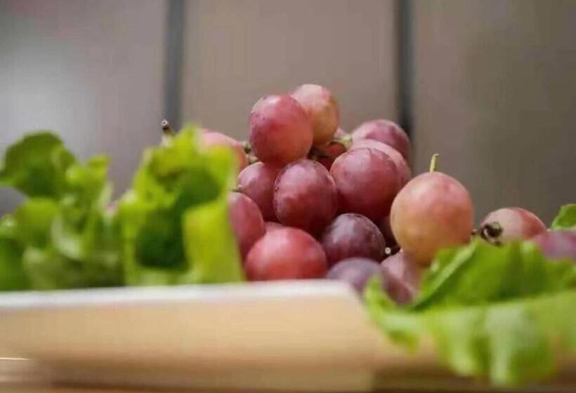 Hanting Premium Hotel Yan An Pagoda Mountain