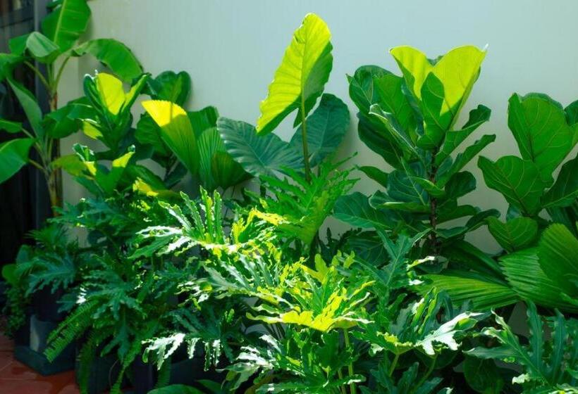 هتل Nha Trong Pho Moon House