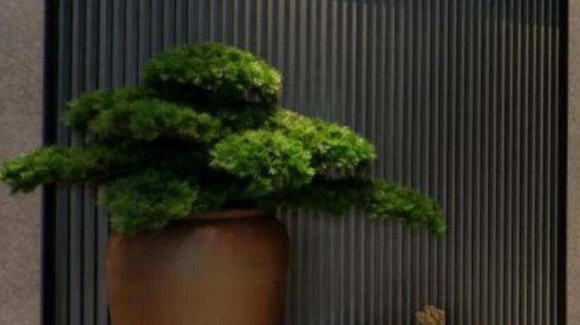 Ji Hotel Zhengzhou East Railway Station Xinyi Road