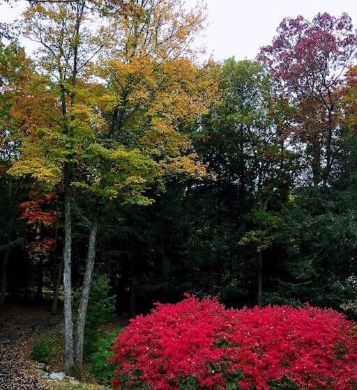 צימר Sunny Peace Homestay