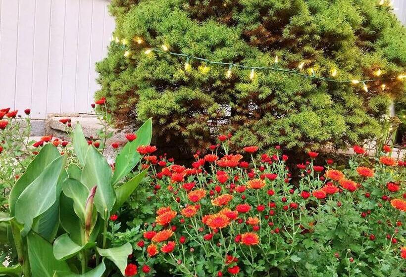 צימר Sunny Peace Homestay