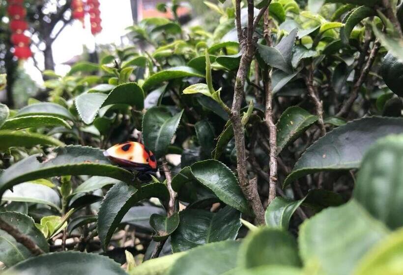 Отель Baan Hom Muen Li