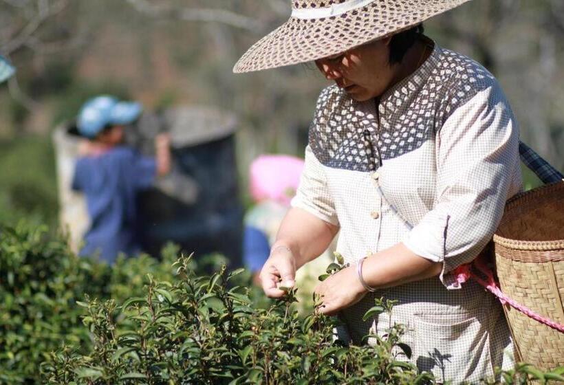 Отель Baan Hom Muen Li