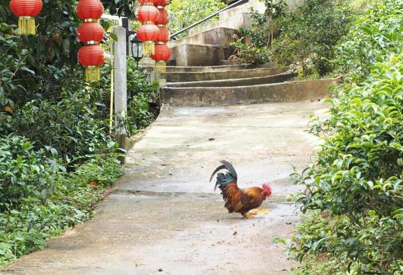 Отель Baan Hom Muen Li