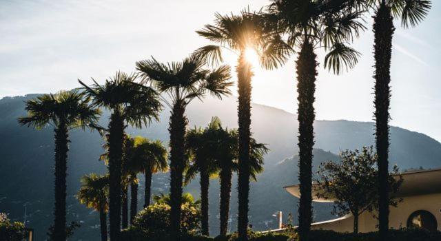 Отель Eden Roc Marina