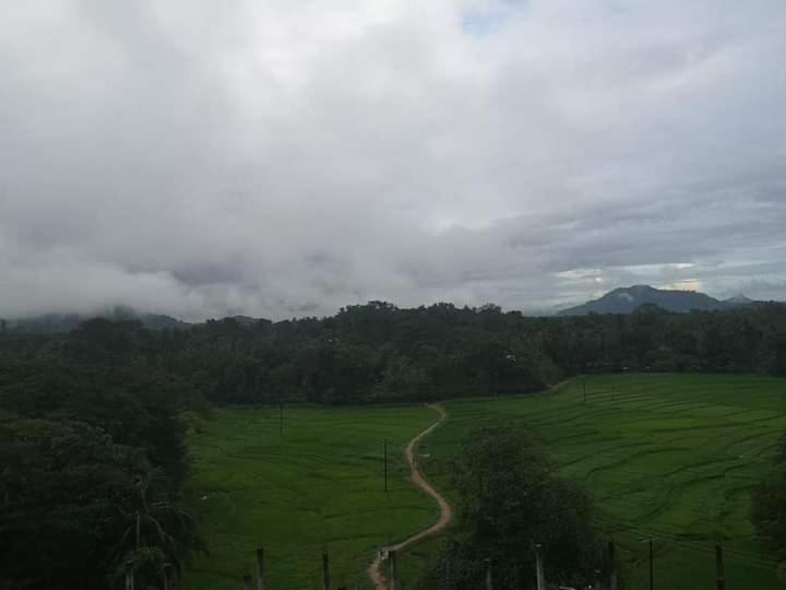 호텔 Gangana Resort Inn