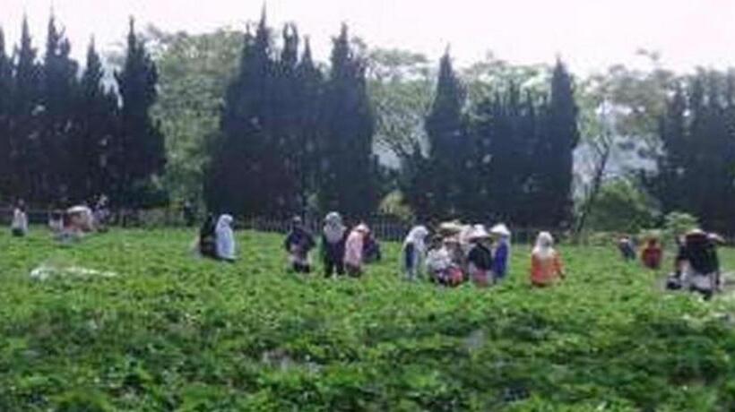 فندق Rose Villa Cipanas