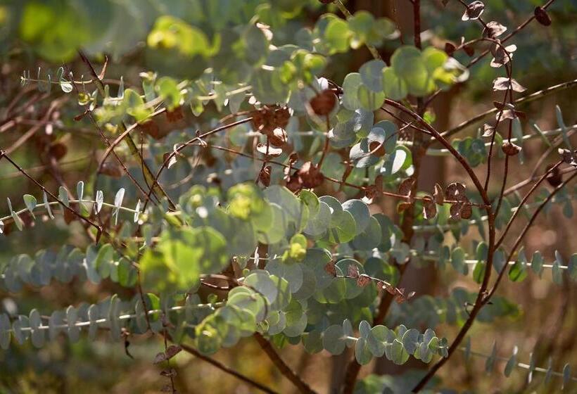 호텔 Solar De Vilar Seco