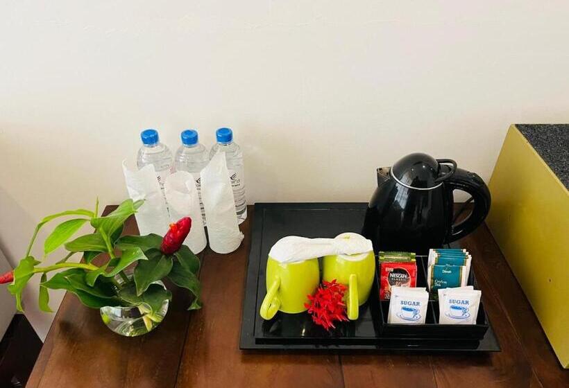 酒店 The Cave By Blue Bird