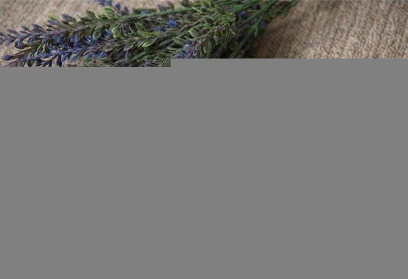 Lavande Hotel Xi An 1st Fengcheng Road Municipal Library Metro Station